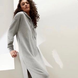 Banana republic sweatshirt dress